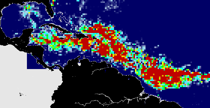 USF Sargassum